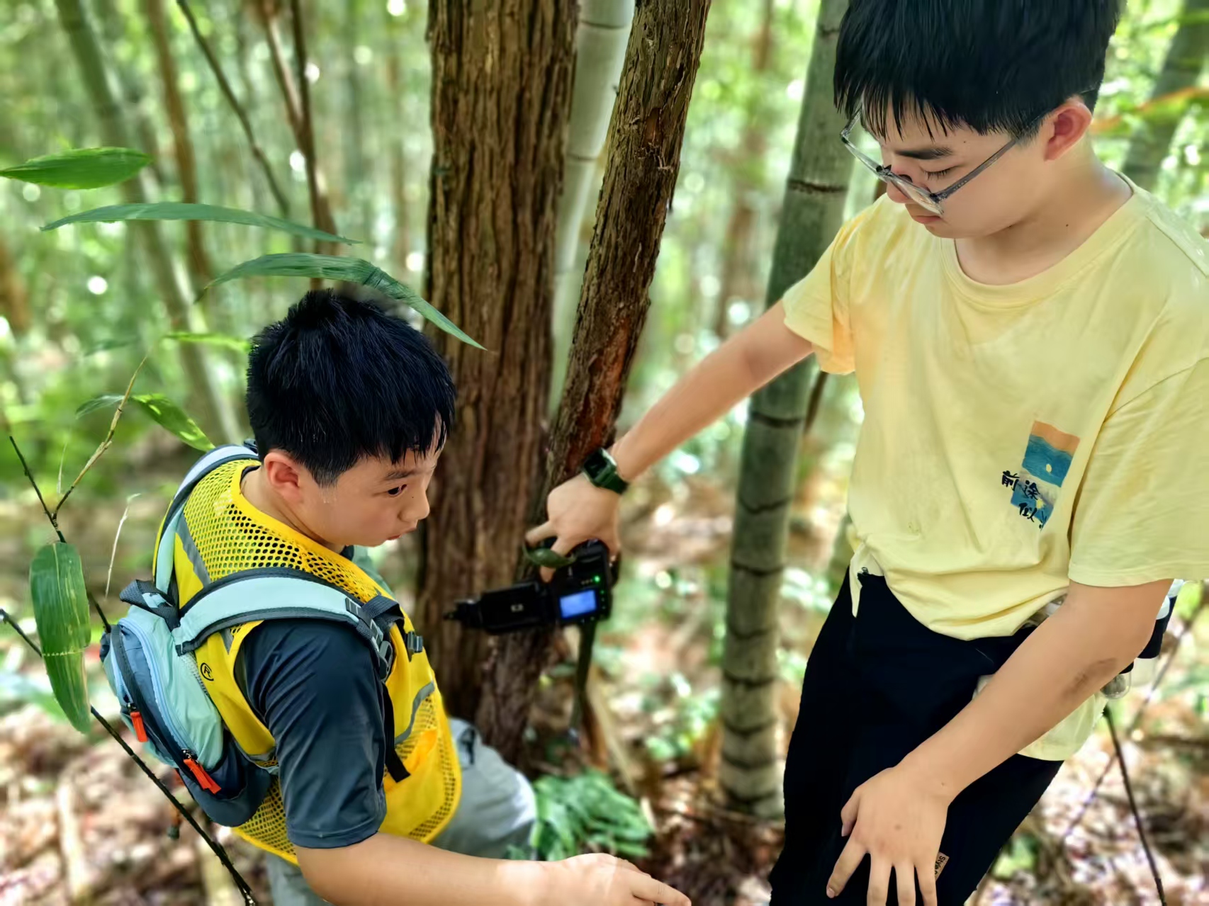 九龙山 6 天 5 夜生态科考营